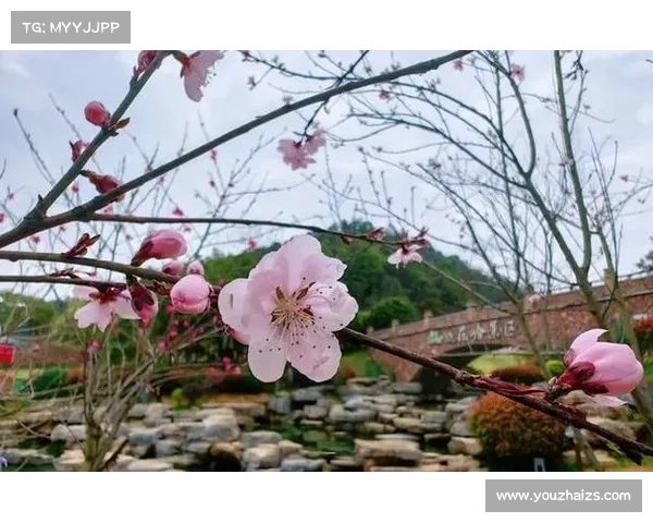 桃花源桃之夭夭,盛世悠然花时 桃花源桃之夭夭,盛世悠然花时